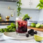 Enjoy Memorial Day with Blackberry Mojito Mocktails
